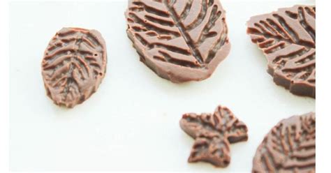 Chocolate Leaves Recipe | Foodtalk