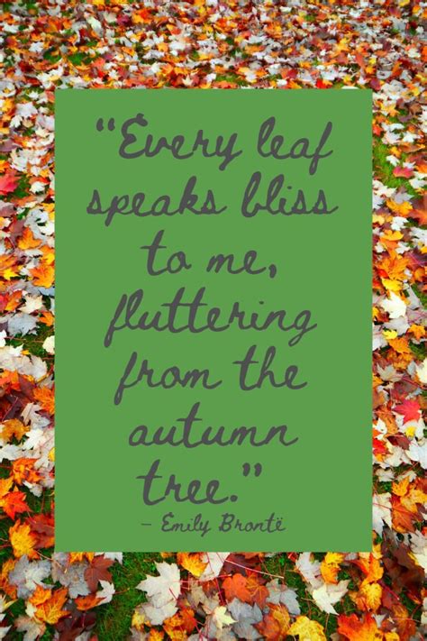 73 Lovely Leaf Quotes For Fall - Darling Quote