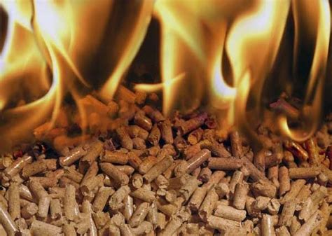 Biomass Briquettes, briquette fuel, बायोमास ब्रिकेट्स - Indian Briquettes, Hassan | ID: 6685765397