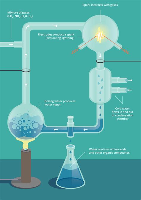 Origins of Life I | Biology | Visionlearning