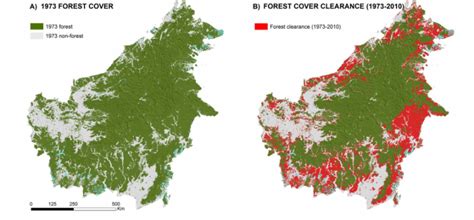 Nearly a Third of Borneo's Rainforest Is Gone