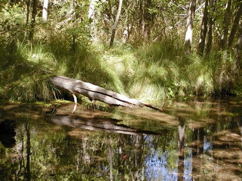 Sycamore Canyon Wilderness Area – Birding in the Verde Valley