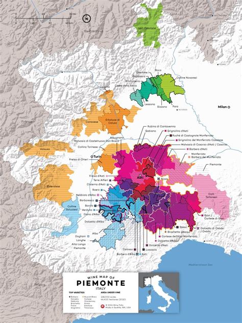 Piedmont Wine Map of Italy - News Unfiltered | Wine folly, Wine map, Wine region map