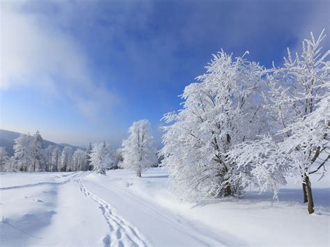 Fonds d'écran Hiver | Futura