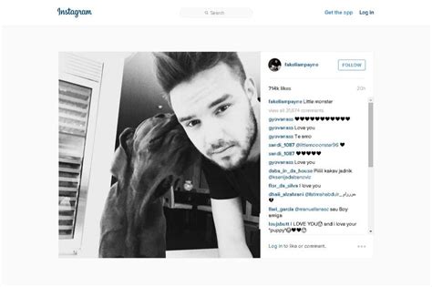 Liam Payne's Dog Helping Him Get Over Break-Up