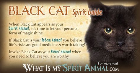 Black Cat Symbolism & Meaning | Black Cat Spirit, Totem & Power Animal