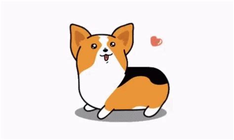 Corgi Jump Gif