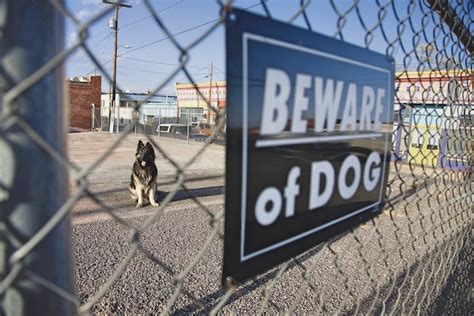 Statute of Limitations For Filing a Dog Bite Lawsuit | The Sam Bernstein Law Firm