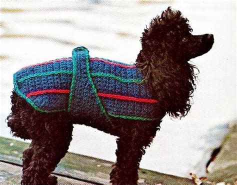 Crochet Dog Sweater Patterns for All Sizes - Beautiful Dawn Designs