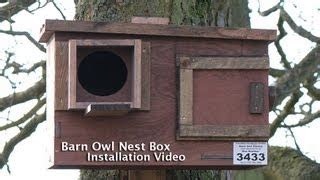 barn owl nest box placement - Woodworking Challenge