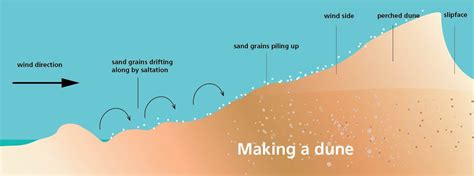 Dune Diagram