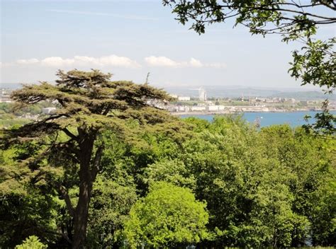 Mount Edgcumbe Gardens Country Park, Cornwall, Glory, Gardens, River, Trip, Landscape, Outdoor ...