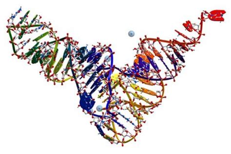 Types Of Computer Models – Answers To All Types Of Questions | TypesOf.com