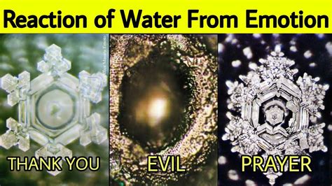 Dr Masaru Emoto Water Experiment