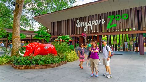 Everything You Need to Know About Singapore Zoo Tickets - To travel is to live!