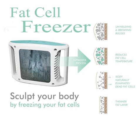 Cryo-Lipo Fat Cell Freezer: Fat Freeze Freezing Unwanted Adipose Tissue ...