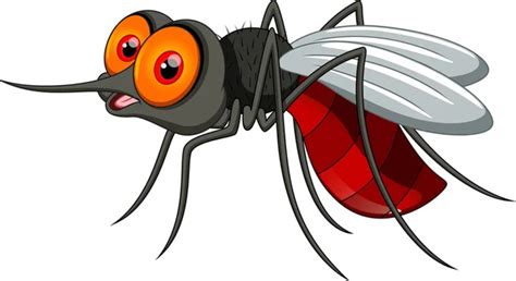 Clipart Mosquito Da Dengue