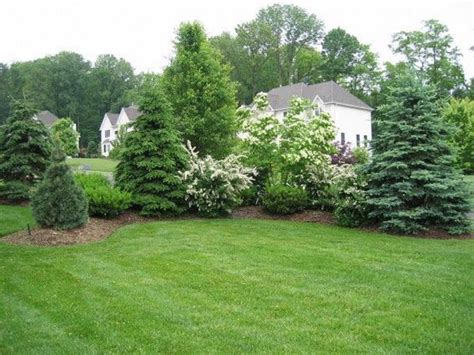 The Benefits of Evergreens for a Beautiful Landscape - Trees Unlimited