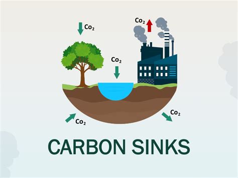 Carbon Sinks PowerPoint and Google Slides Template - PPT Slides