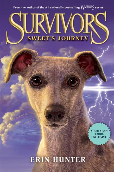 Survivors: Sweet's Journey (eBook) | Survivor, Dog books, Books