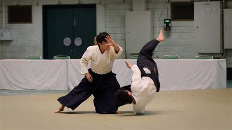 Aikido - Namba Hiroyuki - 55th All Japan Aikido Demonstration - YouTube