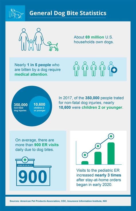 Dog Bite Statistics & State Laws