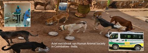 Member Services: Humane Animal Society gets judicial support ...