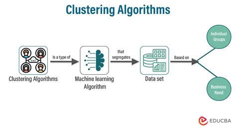 Clustering Algorithms | Types, Methodology, and Applications