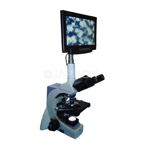 Digital Microscope with Binocular Head and LCD Screen, 30 Degrees ...