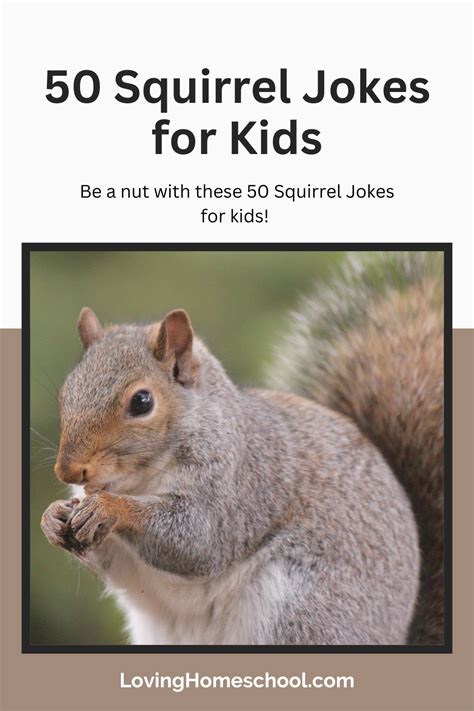 50 squirrel jokes for kids – Artofit