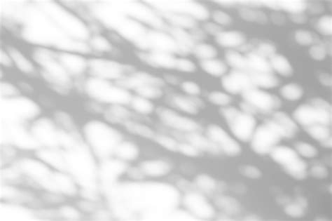 Premium Photo | Shadow overlay effect. shadows from tree leaves and tropical branches on a white ...