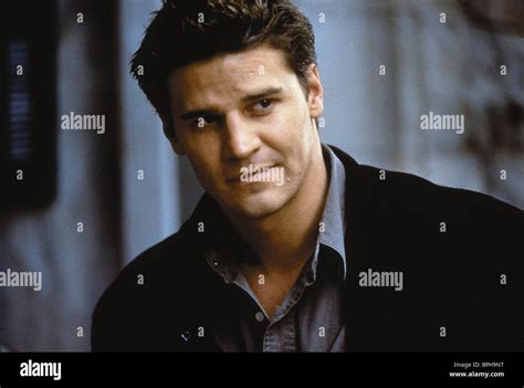 DAVID BOREANAZ VALENTINE (2001 Stock Photo: 31113652 - Alamy