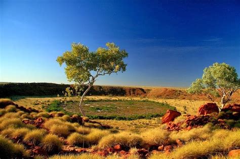 Wolfe Creek Crater is meteorite impact crater to be found in flat ...