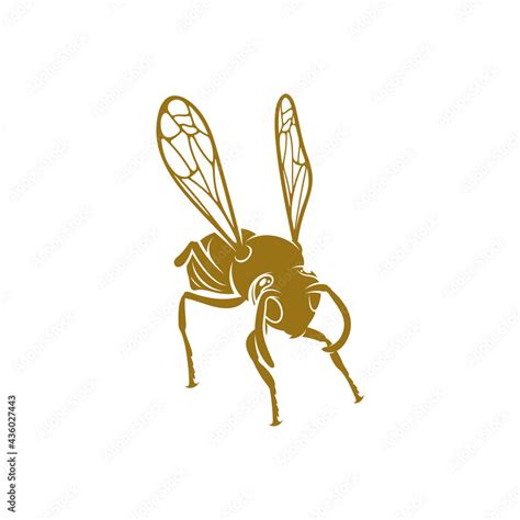 Wasp vector illustration. Wasp logo design concept template. Creative ...