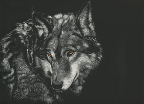 Painting Art, Wolves, Head, Black background, Glance, Black and white ...