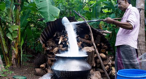 Making Curd | Saraii Village - Eco Friendly Hotel in Yala Sri Lanka