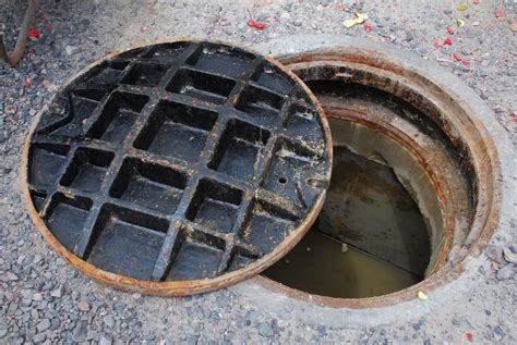 What Are the Health Risks of Blocked Drains? | 1st Call Drain Clearance & Technical Services