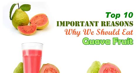 Benefits Of Guava Juice - health benefits