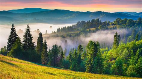 grass, nature, landscape, trees, mist, field, mountains, summer ...