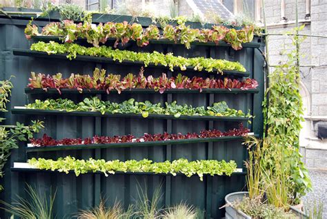 10 Easy DIY Vertical Garden Ideas - Off Grid World