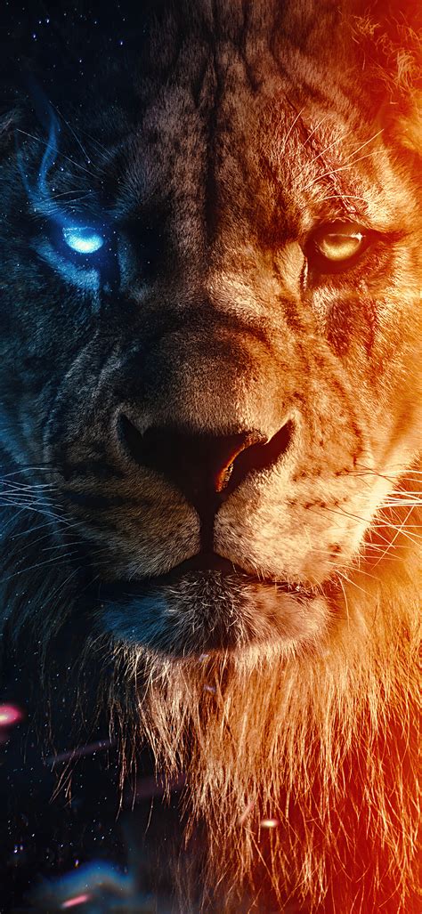 Lion Wallpapers - Top 30 Best Lion Background Images Download