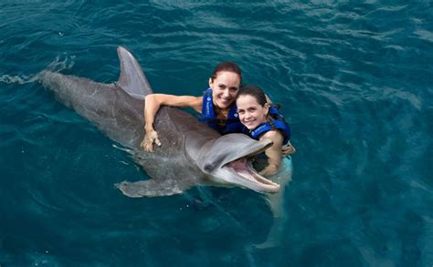 Couples Dreams - Dolphin Swim in Cancun