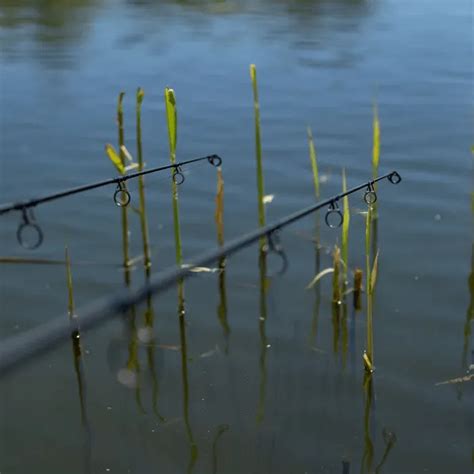 Guide to Choosing the Right Carp Fishing Rod | Expert Advice