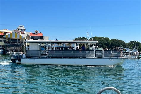 Destin Dolphin Cruise | Destin FWB, Florida