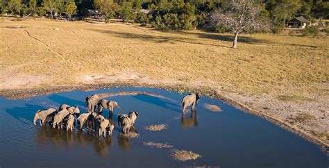 Bespoke Safaris in the Hwange, Zimbabwe - Journeys by Design