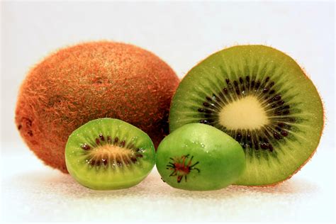 File:Hardy-Kiwi-Comparison-3.jpg - Wikipedia