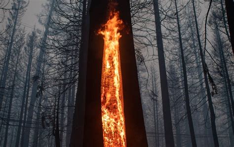 The Dangers of Wildfire Smoke - Scientific American