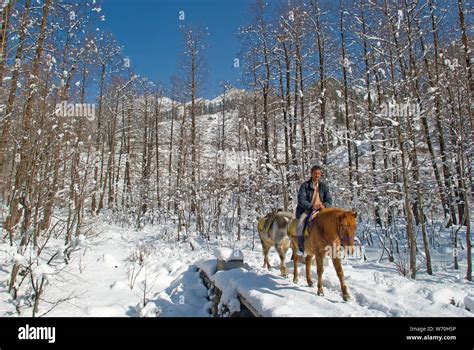 Solang Valley in Winter, Manali, Himachal Pradesh, India Stock Photo - Alamy