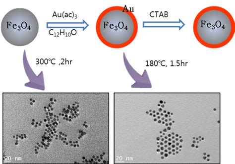 Magnetic Nanoparticles Synthesis And Its Response - Mannat Shah Blog