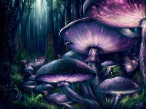 Mushroom Forest Wallpaper - WallpaperSafari